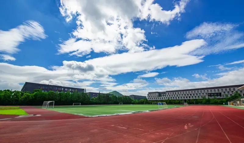 外甥今年高考了。他在高中阶段学习成绩不错，高考后自我感觉考得还可以。我以为这下他