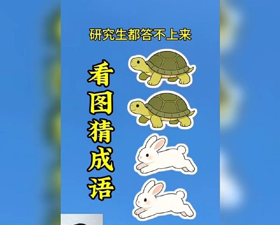 两个乌龟两个兔子，这张图猜成语难倒研究生，你能秒答吗？