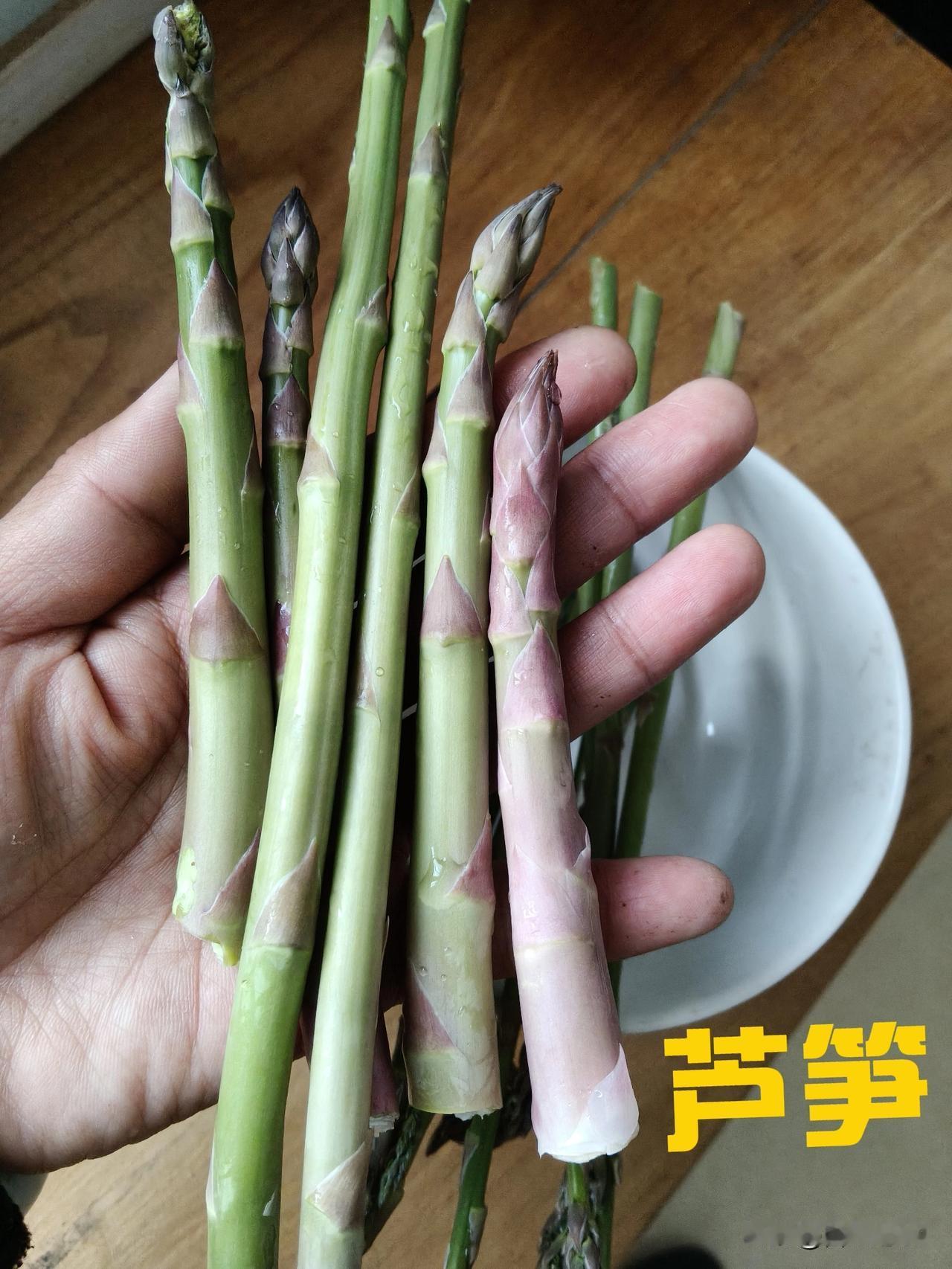 种苗，种子，之一。这些品种，都是我在深山5年，筛选出来的能留种子的老品种