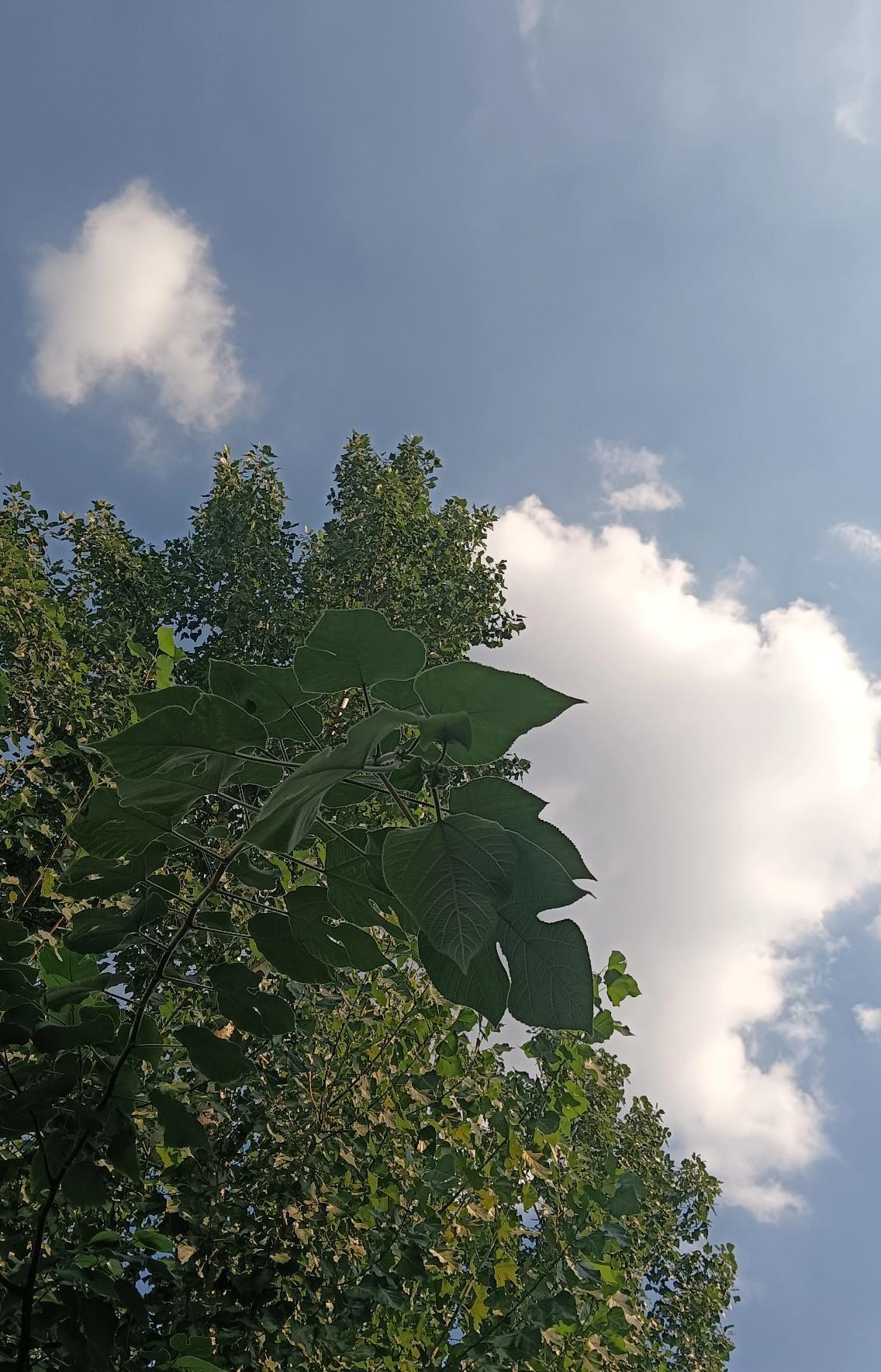 我有个毛病，在家做饭时都是先把菜洗干净、切好，搭配好再炒菜。对此老婆并不理解，