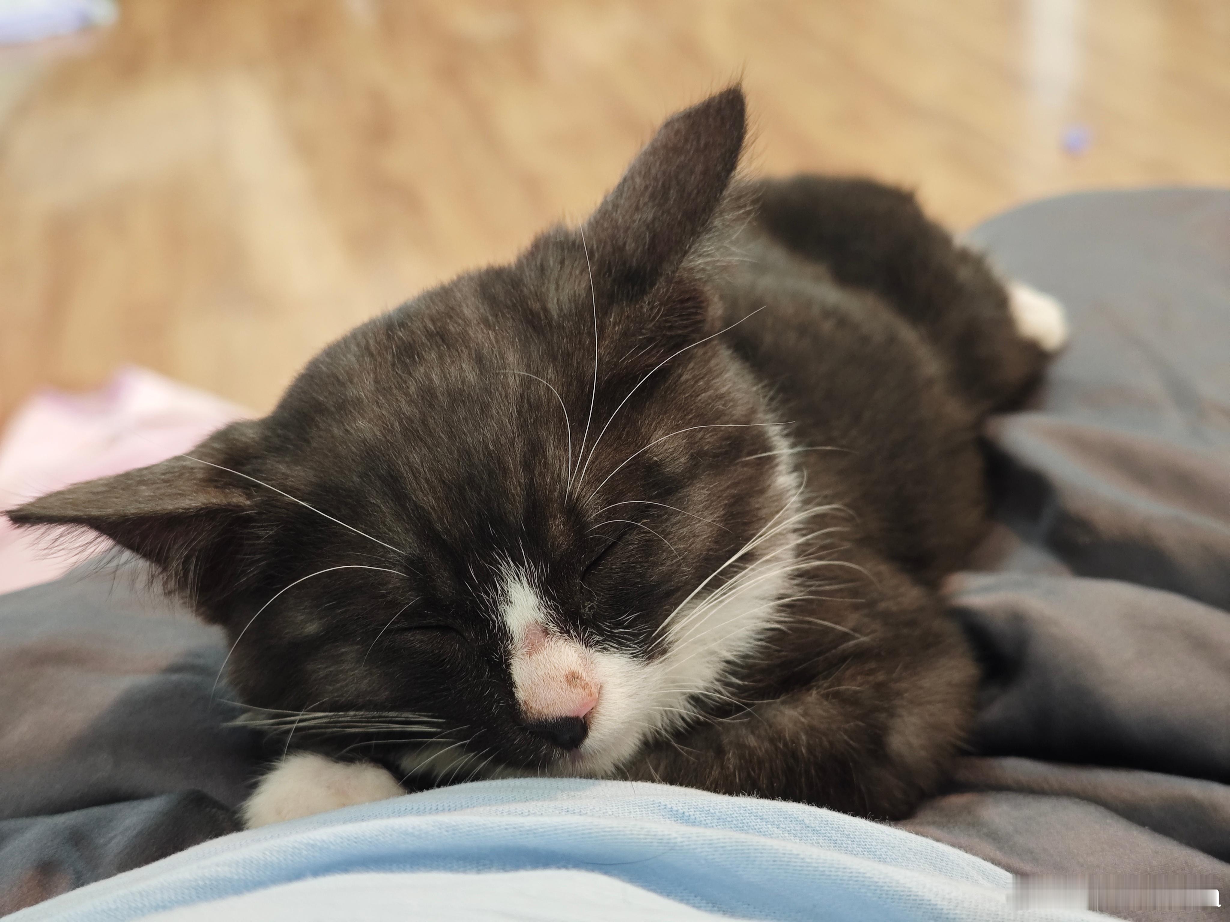 小可爱，快快好起来。​​​