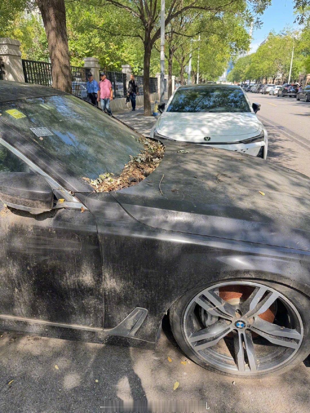 网友：北京通州，一辆被遗忘的宝马……​