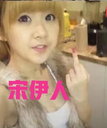 这个宋伊人什么来头？听说是北大研究生。可十几岁就是小太妹的她是怎么完成学业的