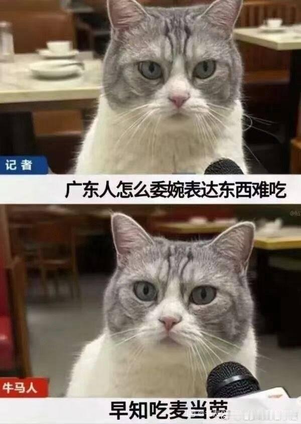 本广东人表示同意​​​
