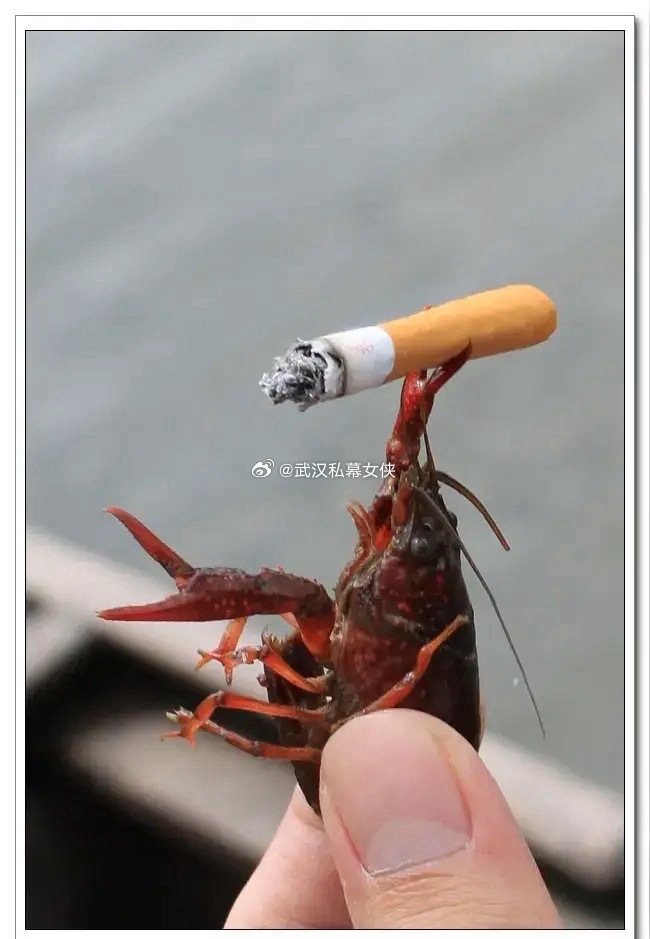 赛博龙虾：从“电子牛马”变“吞金巨兽”，养不起更删不起！本想请回一只任劳任怨的赛