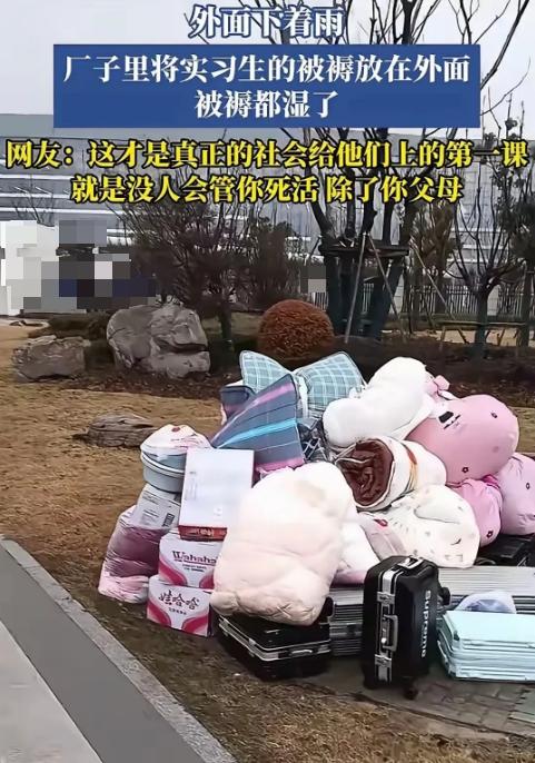 “长见识了！”安徽某电子厂，一群实习生将被褥和行李箱堆在厂区门口的空地上，随后便