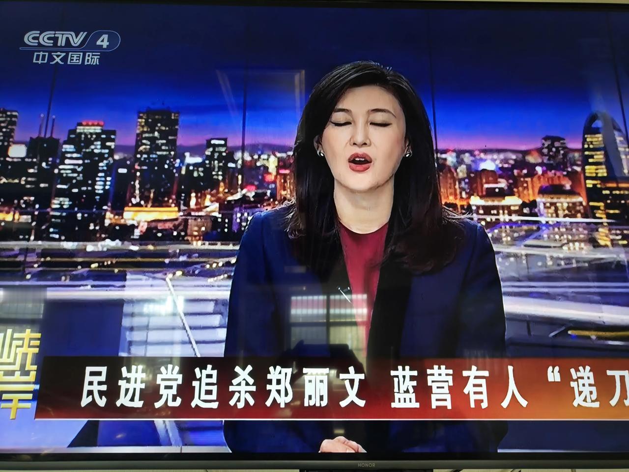 民进党″追杀″郑丽文，国民党有人