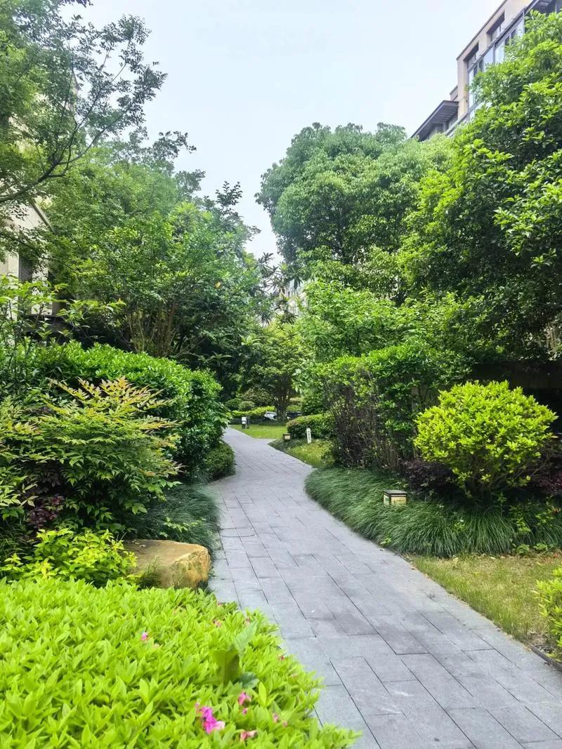 养女儿的羡慕养儿子的，女儿花钱的年纪在娘家，挣钱的年纪在婆家。辛苦养大到头来连个