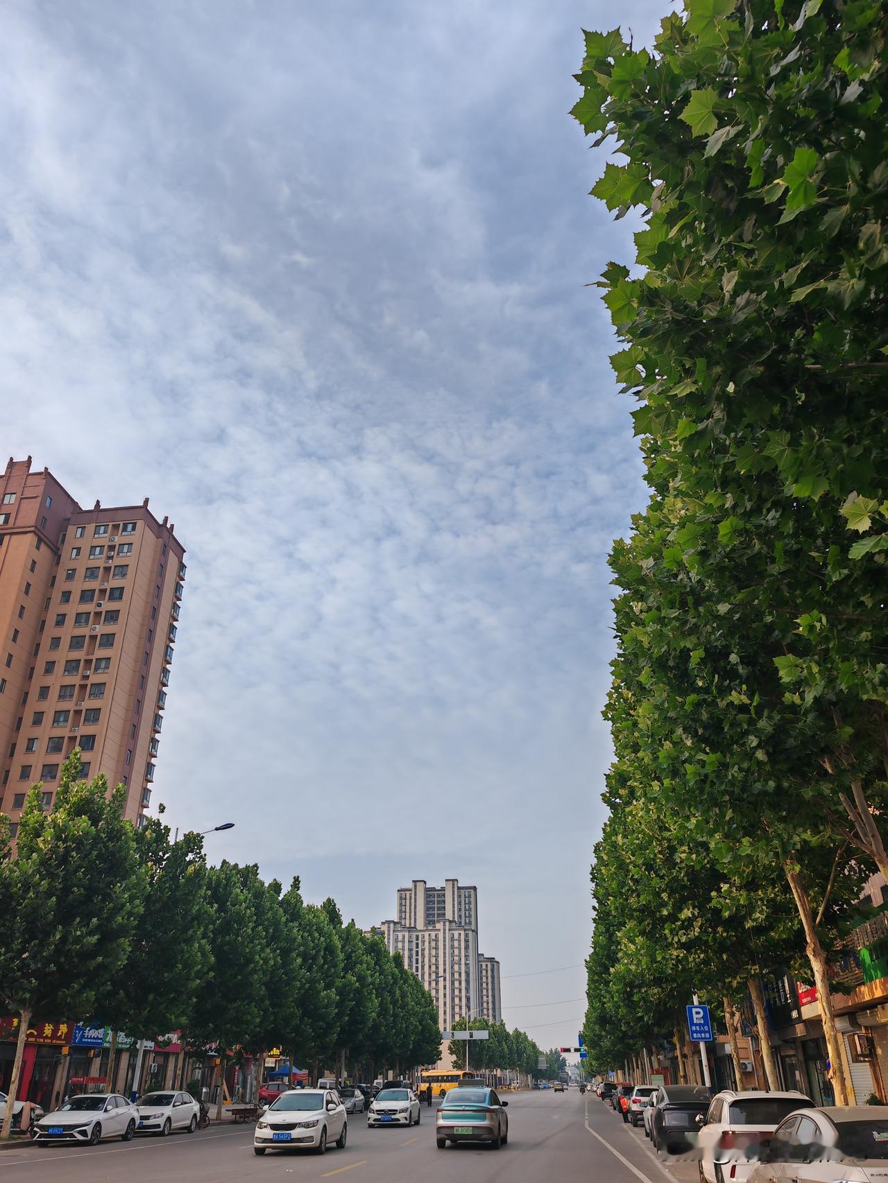 昨天早晨出去骑车拍到的蓝天白云，天气凉爽，农民收麦子正当时。