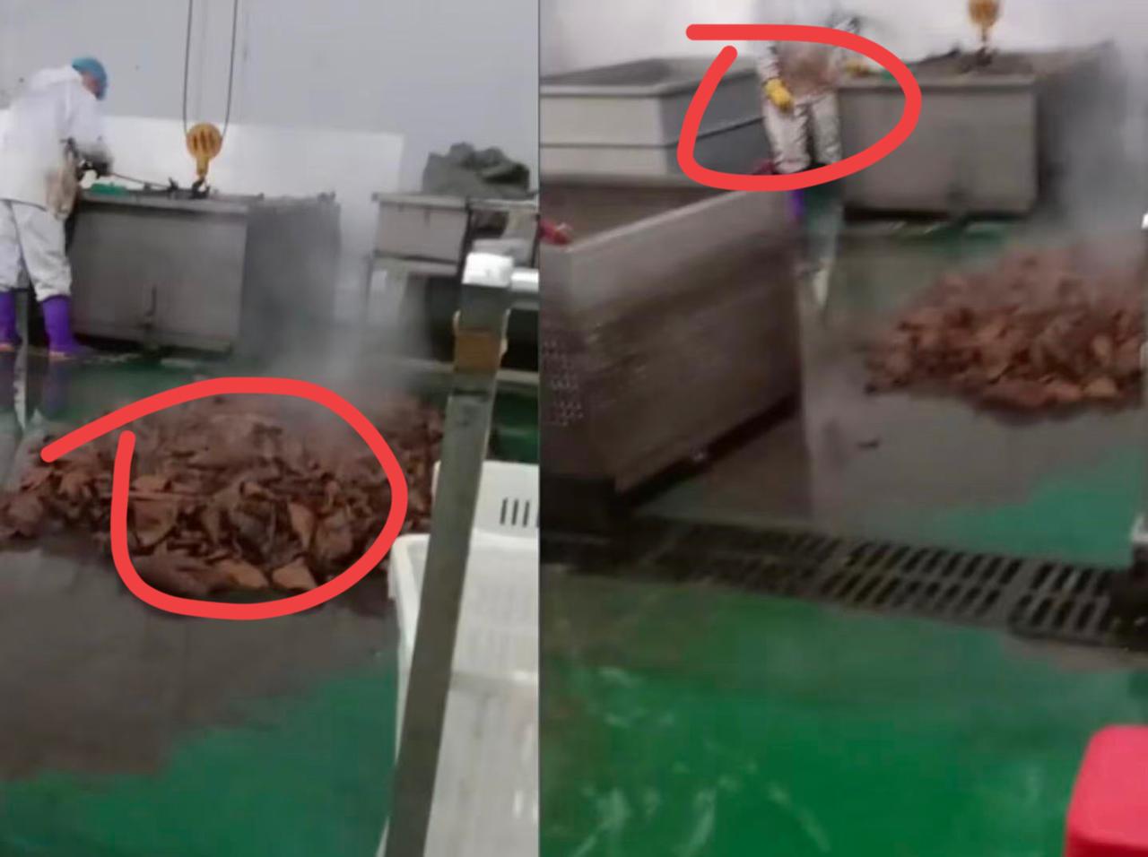 全网直播带货的网红都沉默了不是自己团队选品出了事，也不是虚假宣传，而是鹿哈，可