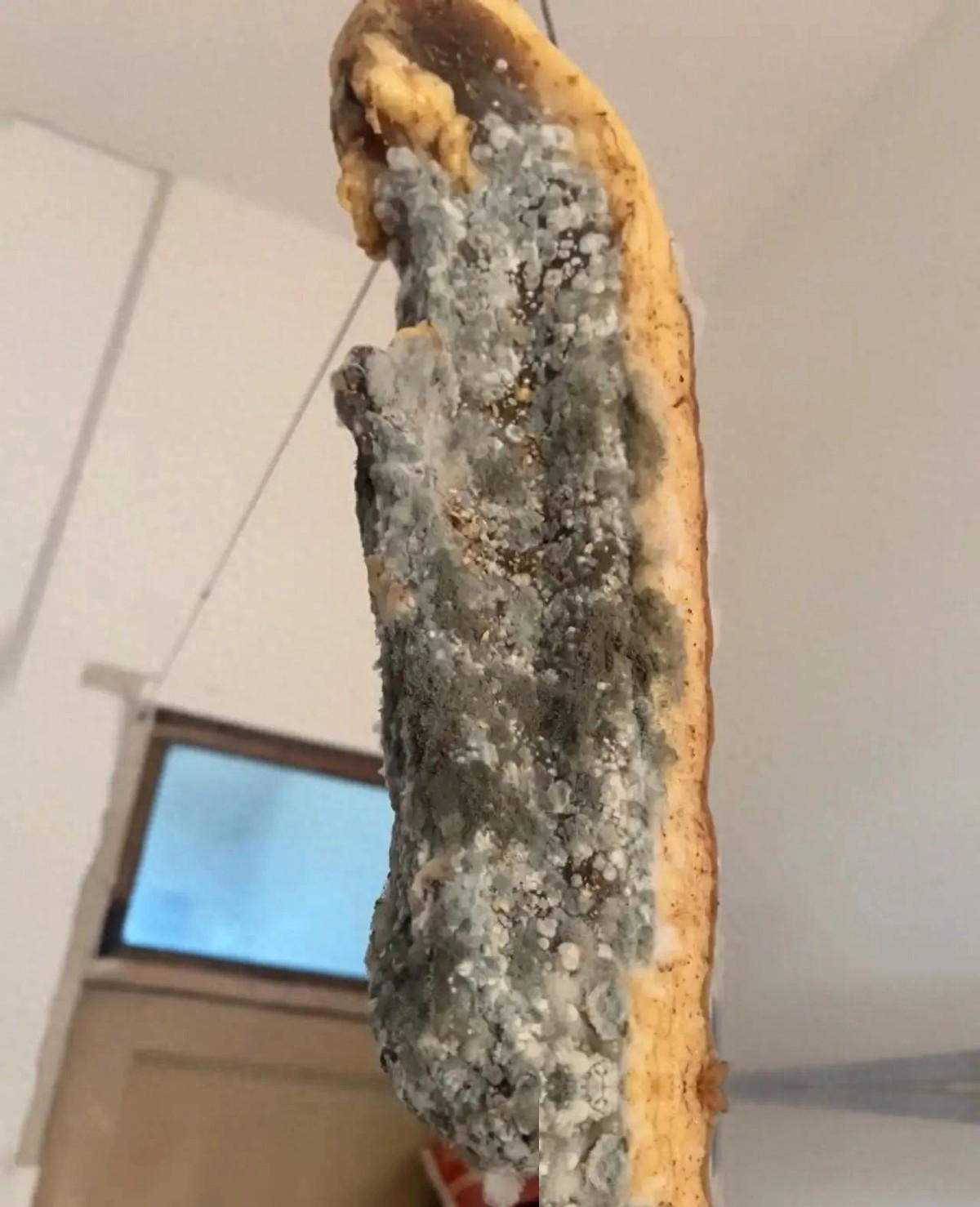 想象一下这个画面：你下班回家，赫然发现视力不太好的老妈，正准备把一块长满白毛的肉