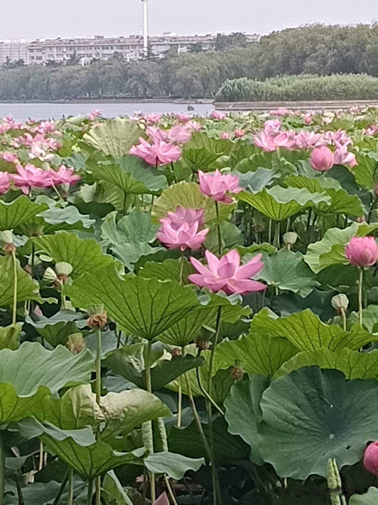 老了以后，不要做的“糊涂事”：第一，不帮亲戚做担保人。不管你和亲戚关系有