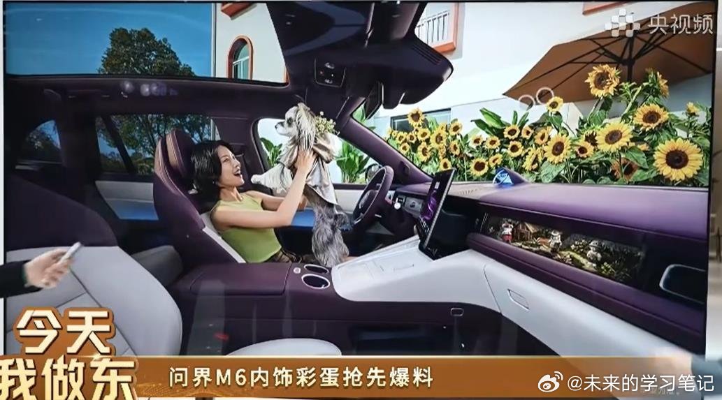 问界m6内饰来了，双拼色，除了四维随动屏，副驾位置可以多看看