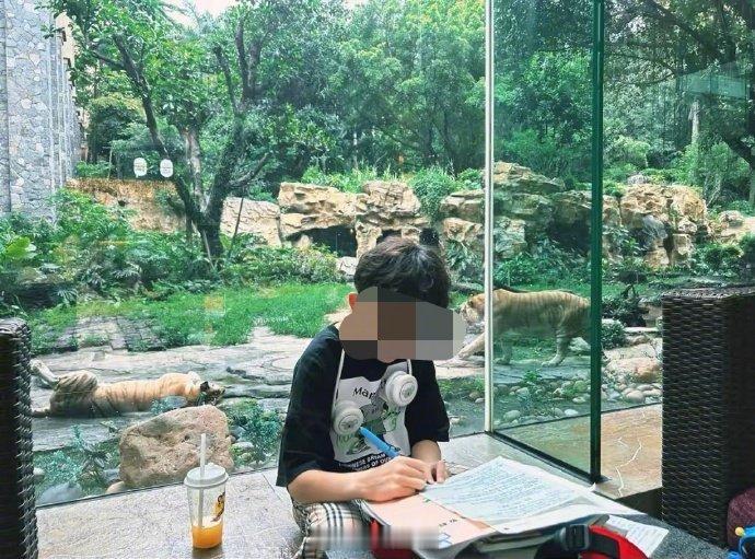 暑假就是中国的孩子在世界各地写作业​​​