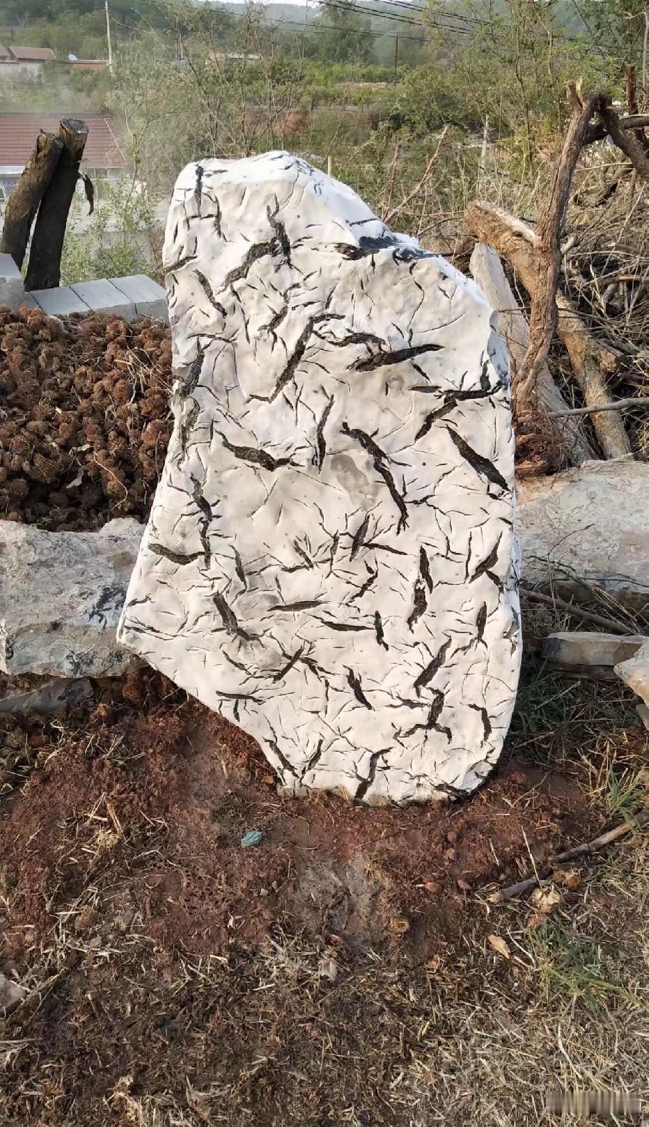 真相买来送给领导