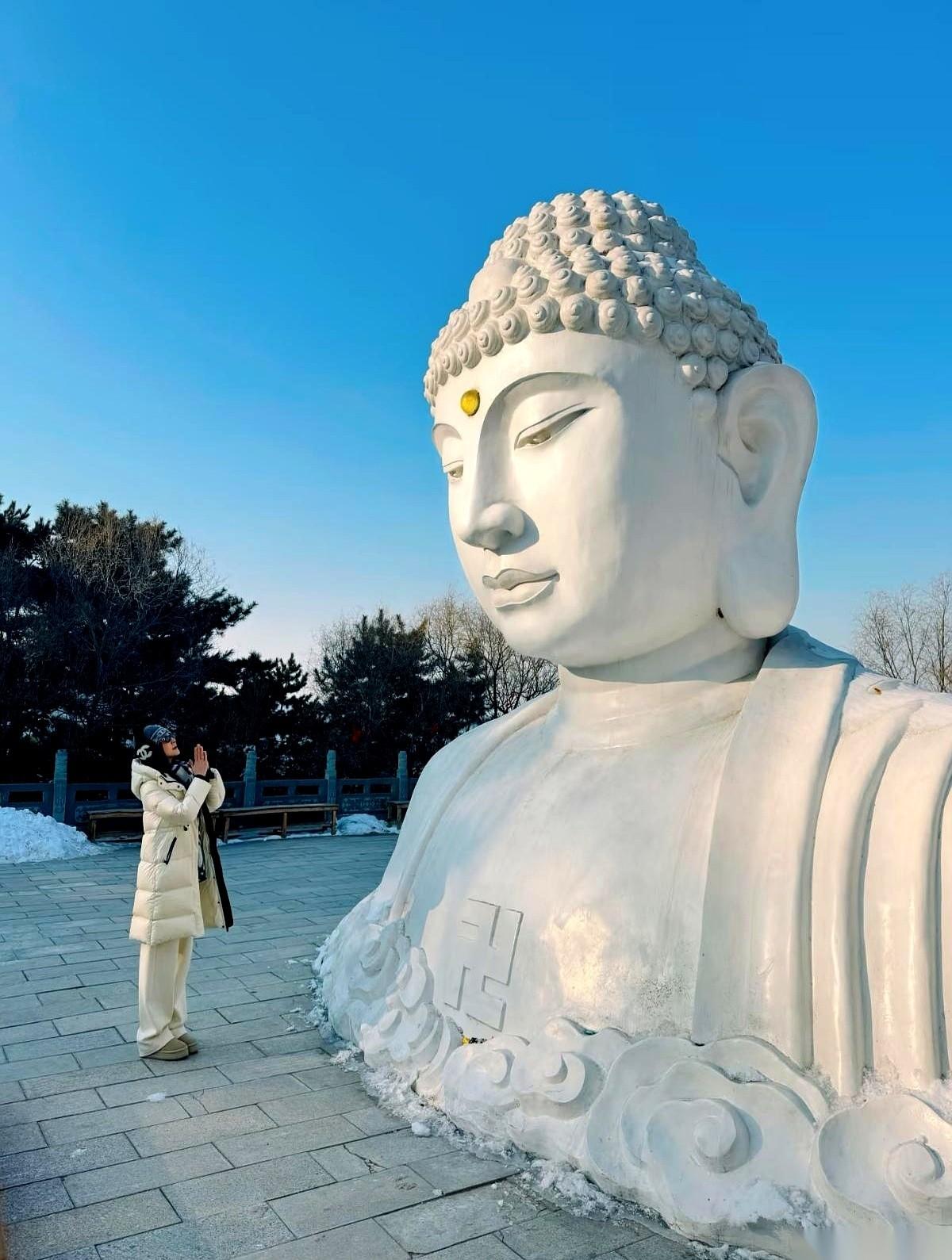 脑子里有个声音在嘶吼：“快跑，前面是悬崖。”可我的手，已经打出三个字发了过去：