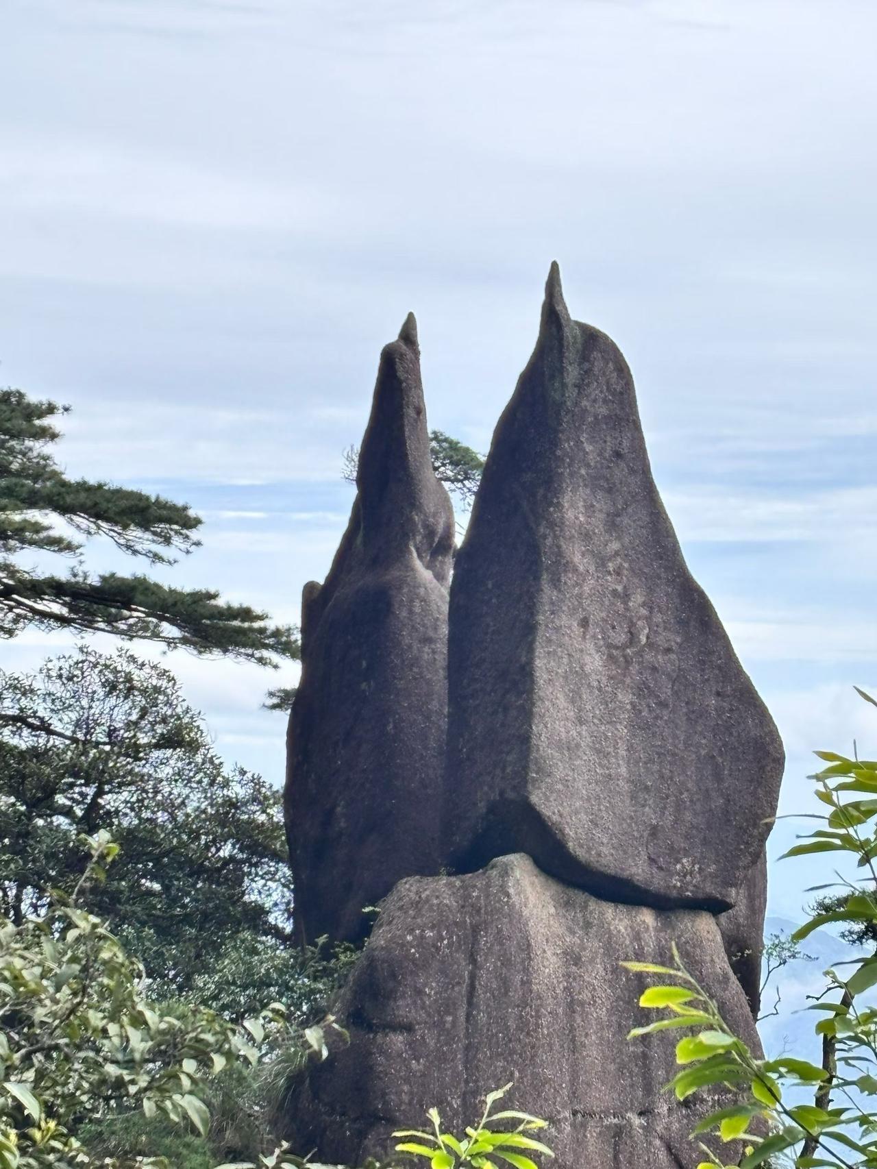 这个图片呈现的不是黄山的美景，而是江西一座山的美景，你知道这是江西的哪座名山吗？