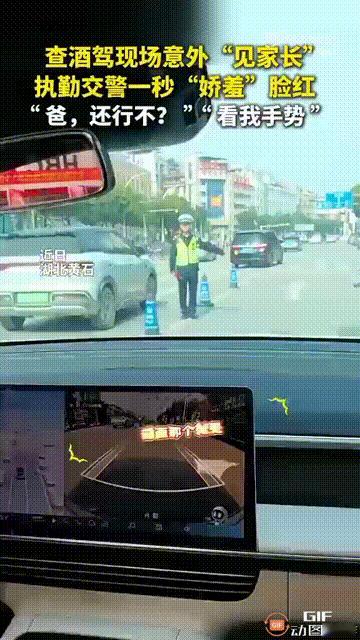 “这女婿可太满意了！”湖北黄石一名女子告诉父母自己交了一个男朋友，父母一直让女子