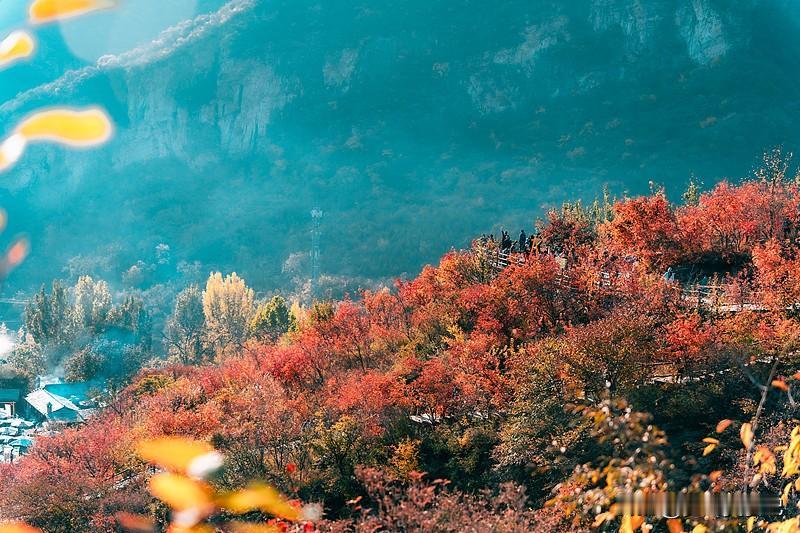 两天后白露，一定牢记“白天5不做、晚上4必做”，不懂规矩要吃亏寒露将至，牢记“