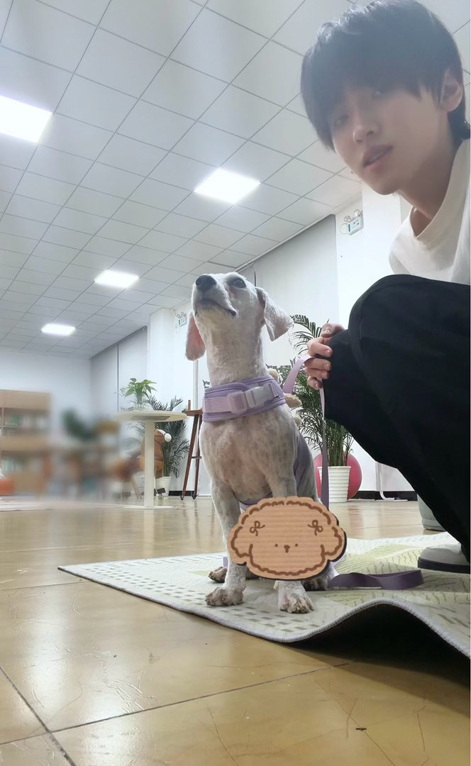 卧槽他俩啥意思