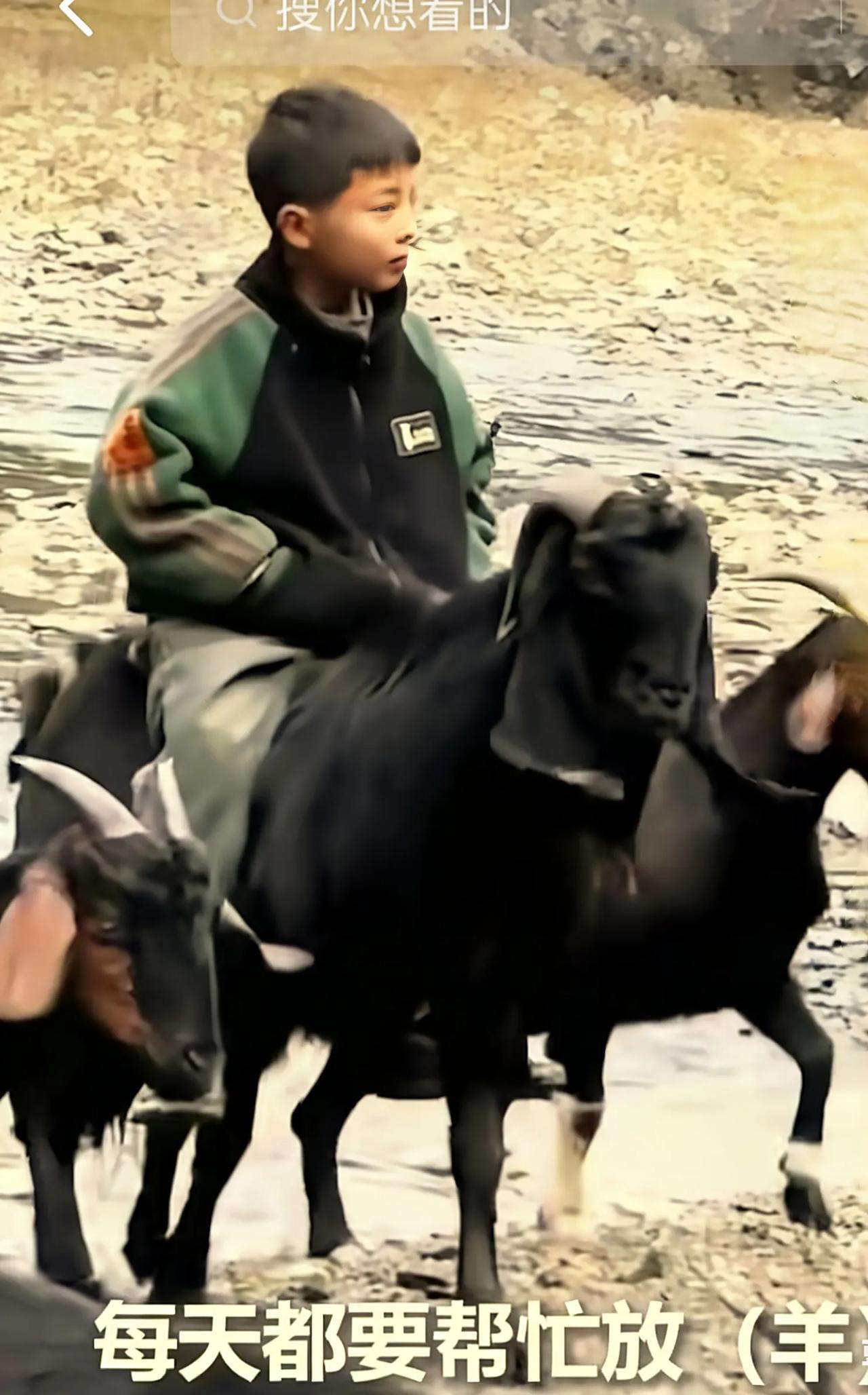 贵州9岁少年放羊意外走红，羊背上的从容为何看哭无数人？贵州毕节纳雍县的冬日，