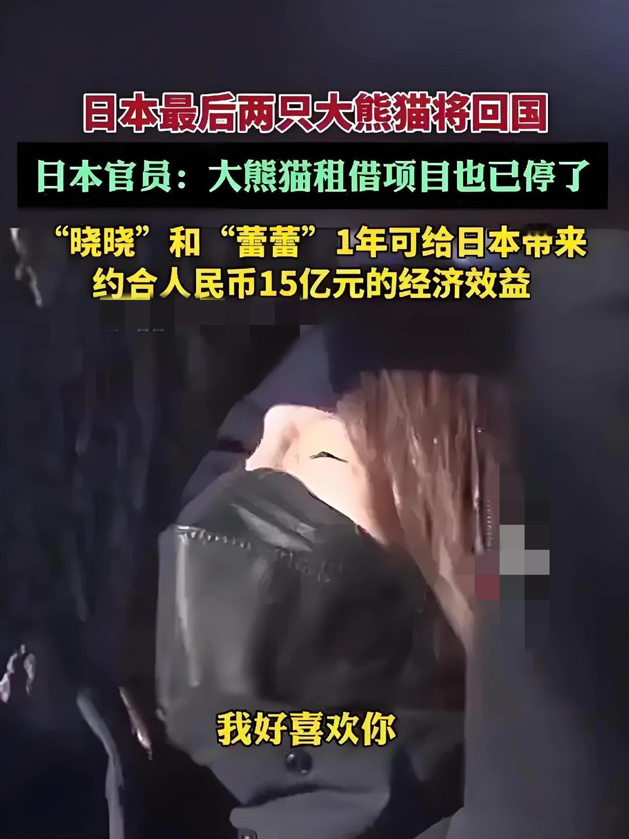 泪目！日本最后两只大熊猫1月归国，54年熊猫时代落幕，日本网友哭求别走！国宝