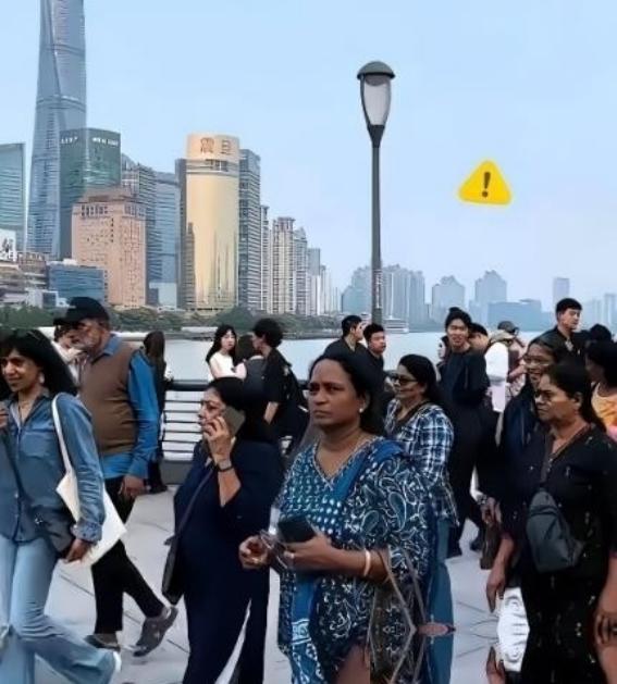 国家的百年大计，绝不能毁在一群蛀虫手里！现在只要一提“国际化“、“与国际接轨“，