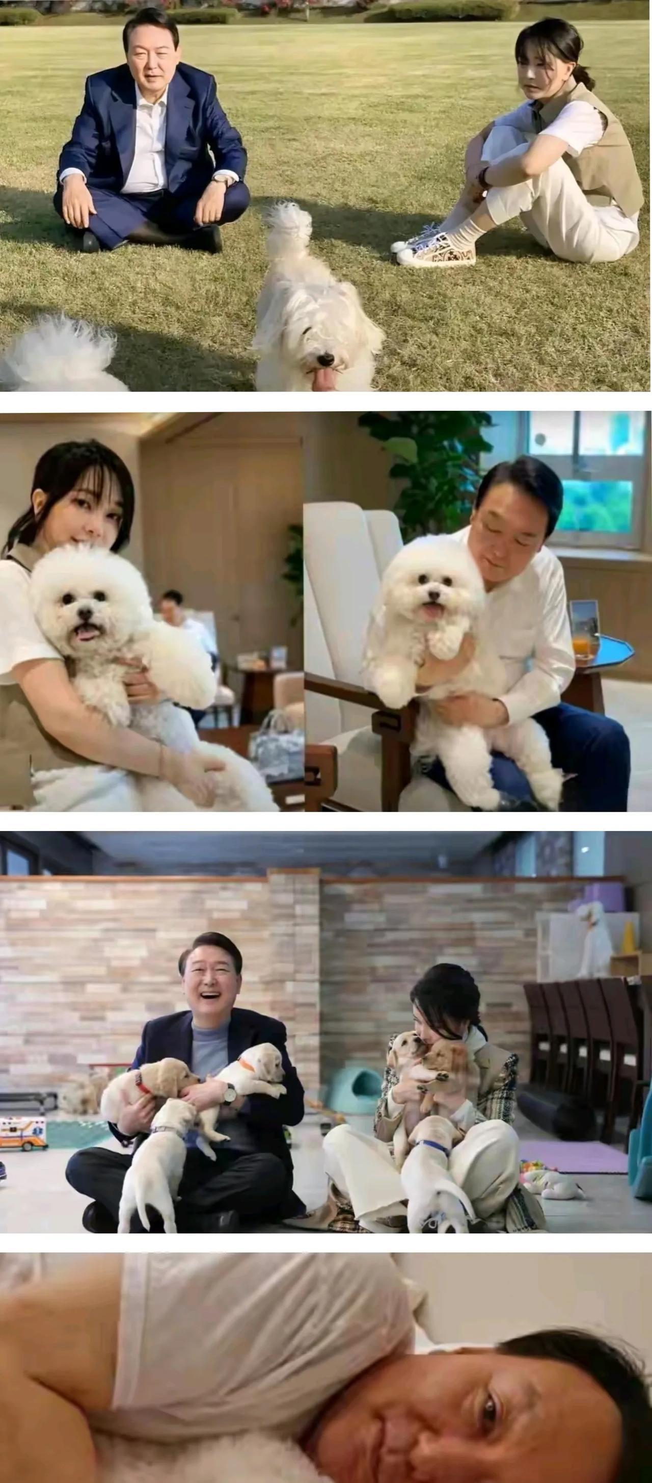 人进去了，狗咋办？尹锡悦两口子进去了，这没啥好说的。可他们养的狗，是真冤。老