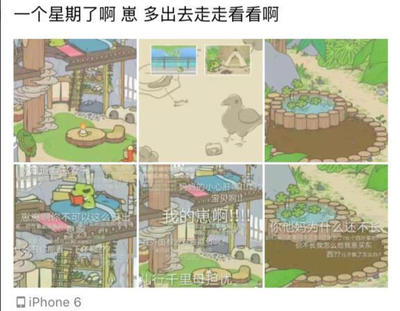 来嘛, 咱们养只青蛙当儿子! 要不顺便生个娃?