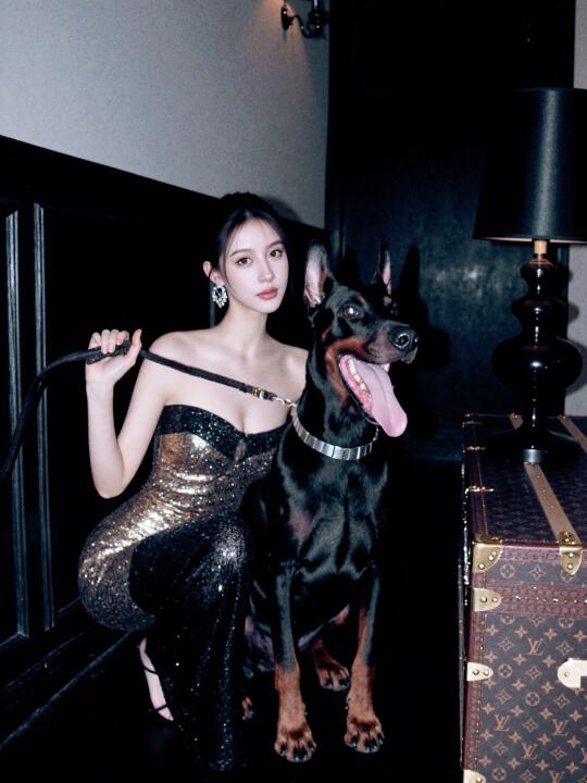 夜·裙·杜宾犬🖤