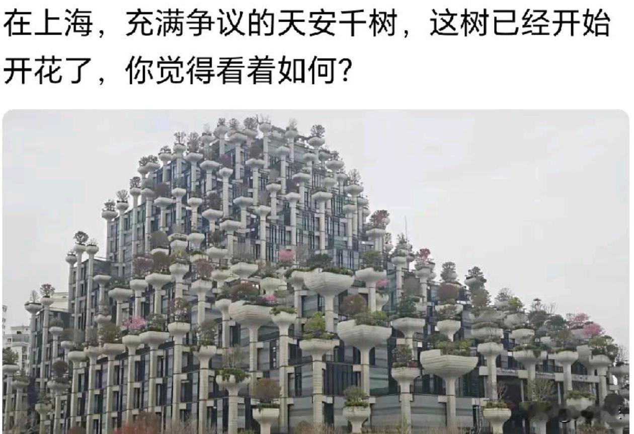 看着感觉好压抑啊，你们觉得呢？