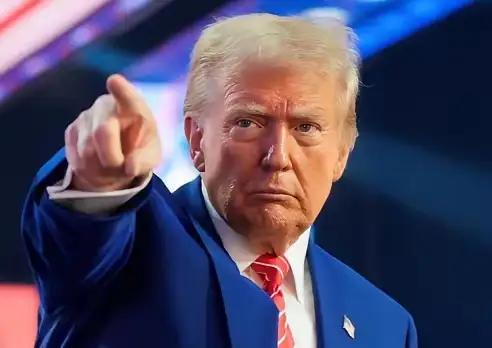 美:波斯猫你给我出来朗:咋的啦美:你啥意思啊谁让你反击我们的朗:你都