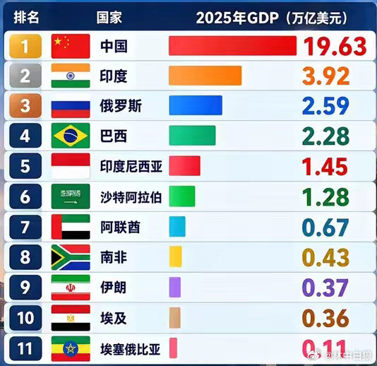 金砖国家，东大一家过半。​​​