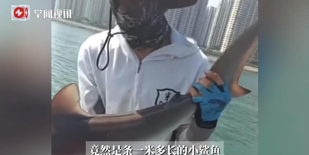 “活久见！”山东青岛，一男子在胶州湾钓鱼时，鱼钩突然被咬住并且拖行了60多米，男