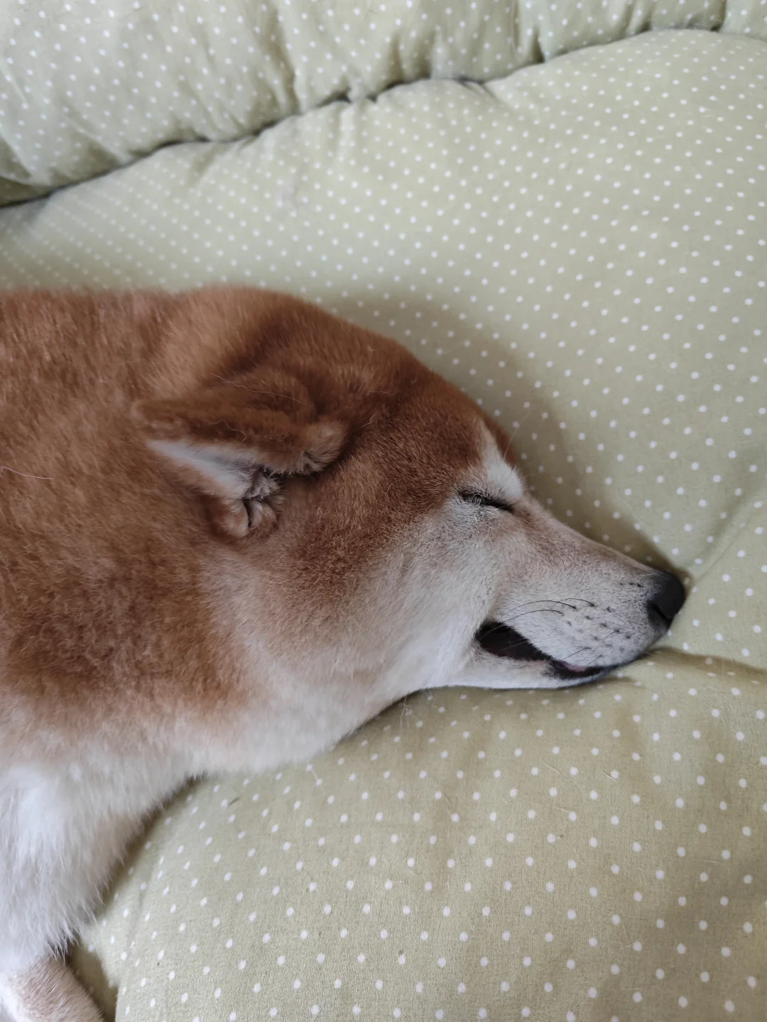 柴机长准备起飞