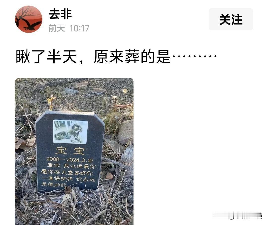 好家伙应该把它葬在祖坟才对！