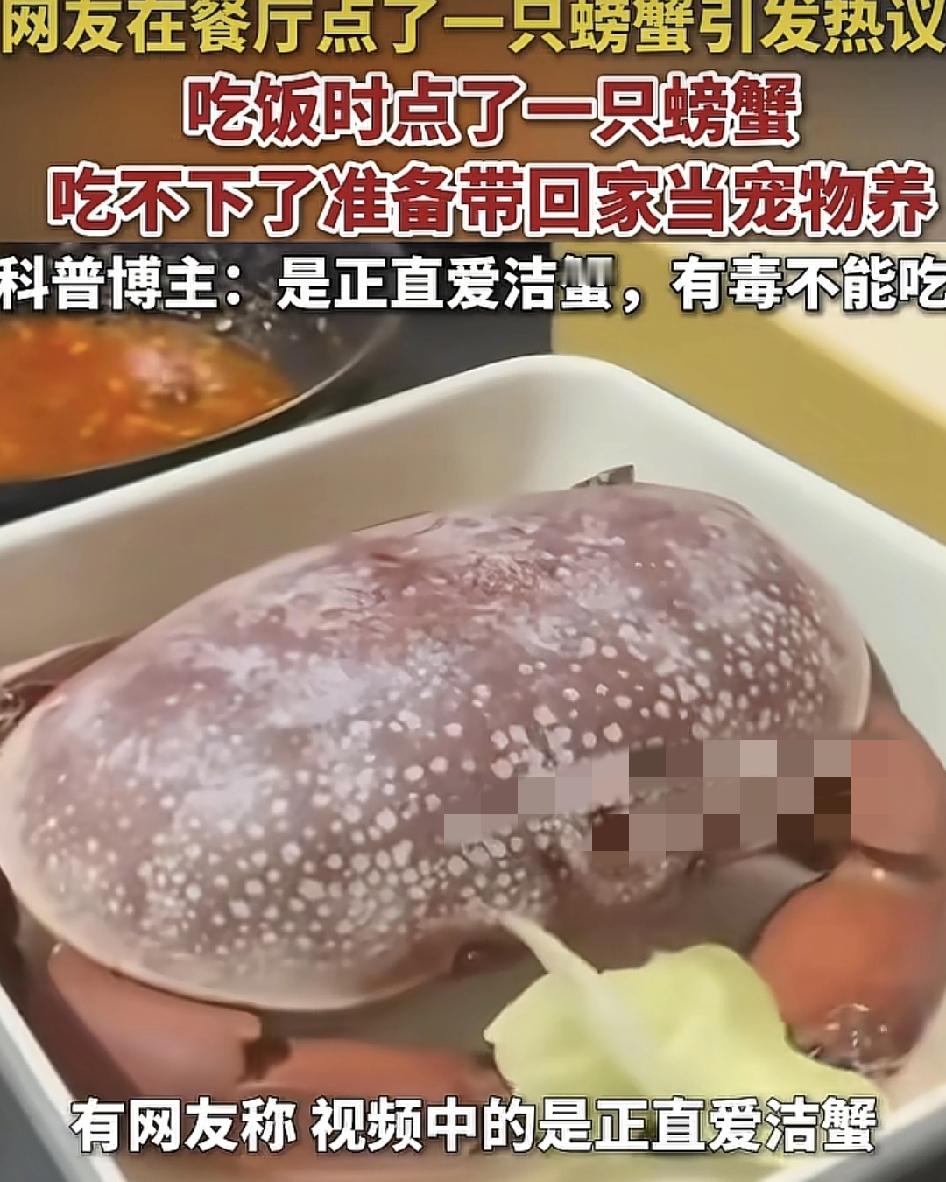 湖北一位网友在餐厅点了一只螃蟹，在网络平台上发视频称吃不下，准备拿回家当宠物养，