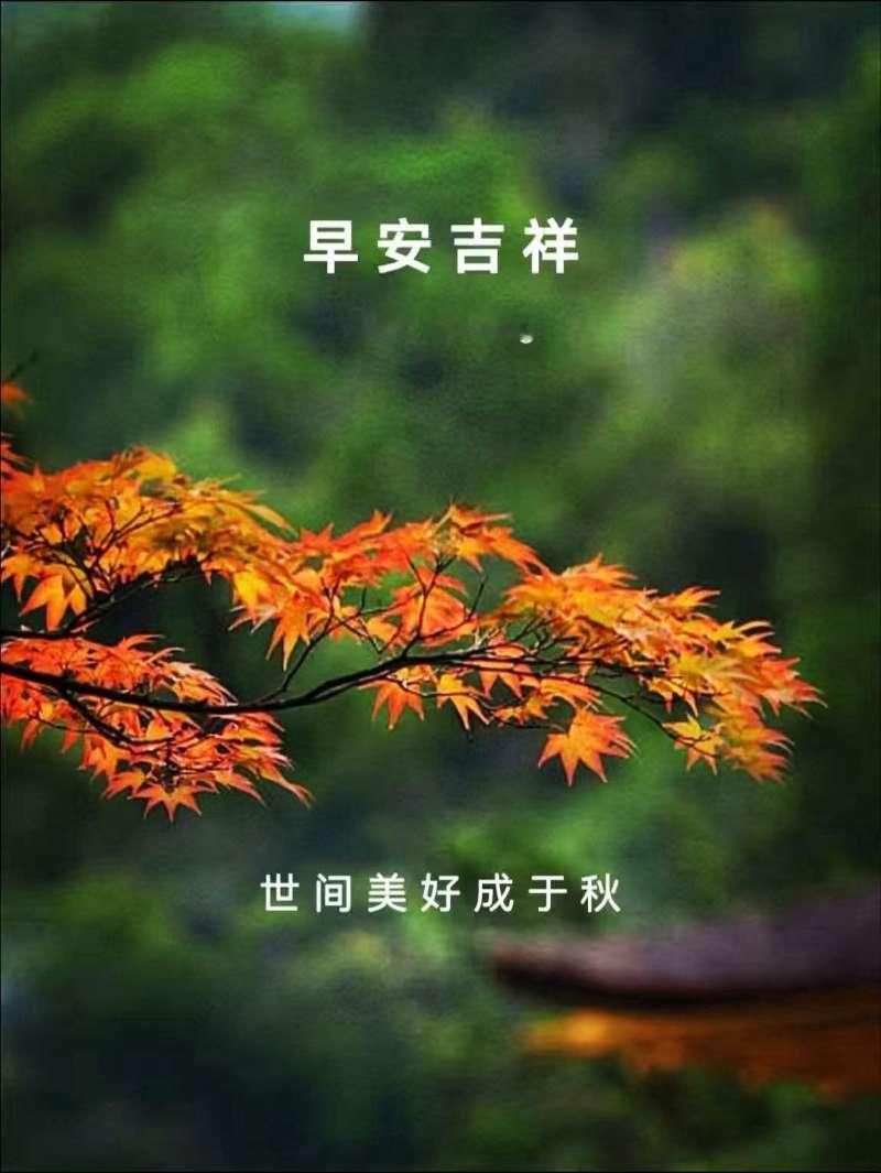 人海茫茫數千萬，沒有幾人問早安，我們相識都是緣，珍惜友情無遺憾，健康快樂