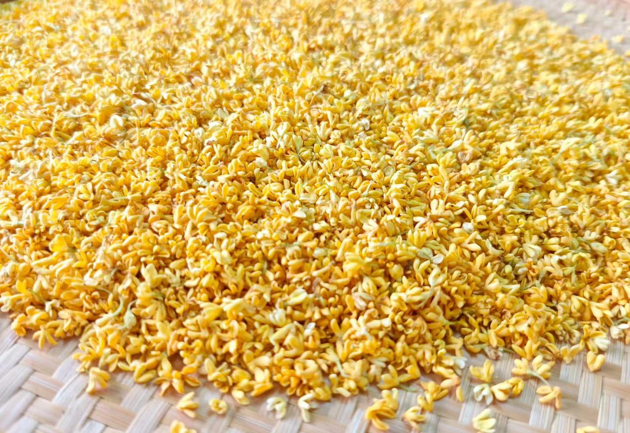 它含挥发油和抗氧化成分，能减少肝脏炎症反应。其富含的抗氧化剂可抵抗自由基，肝脏作