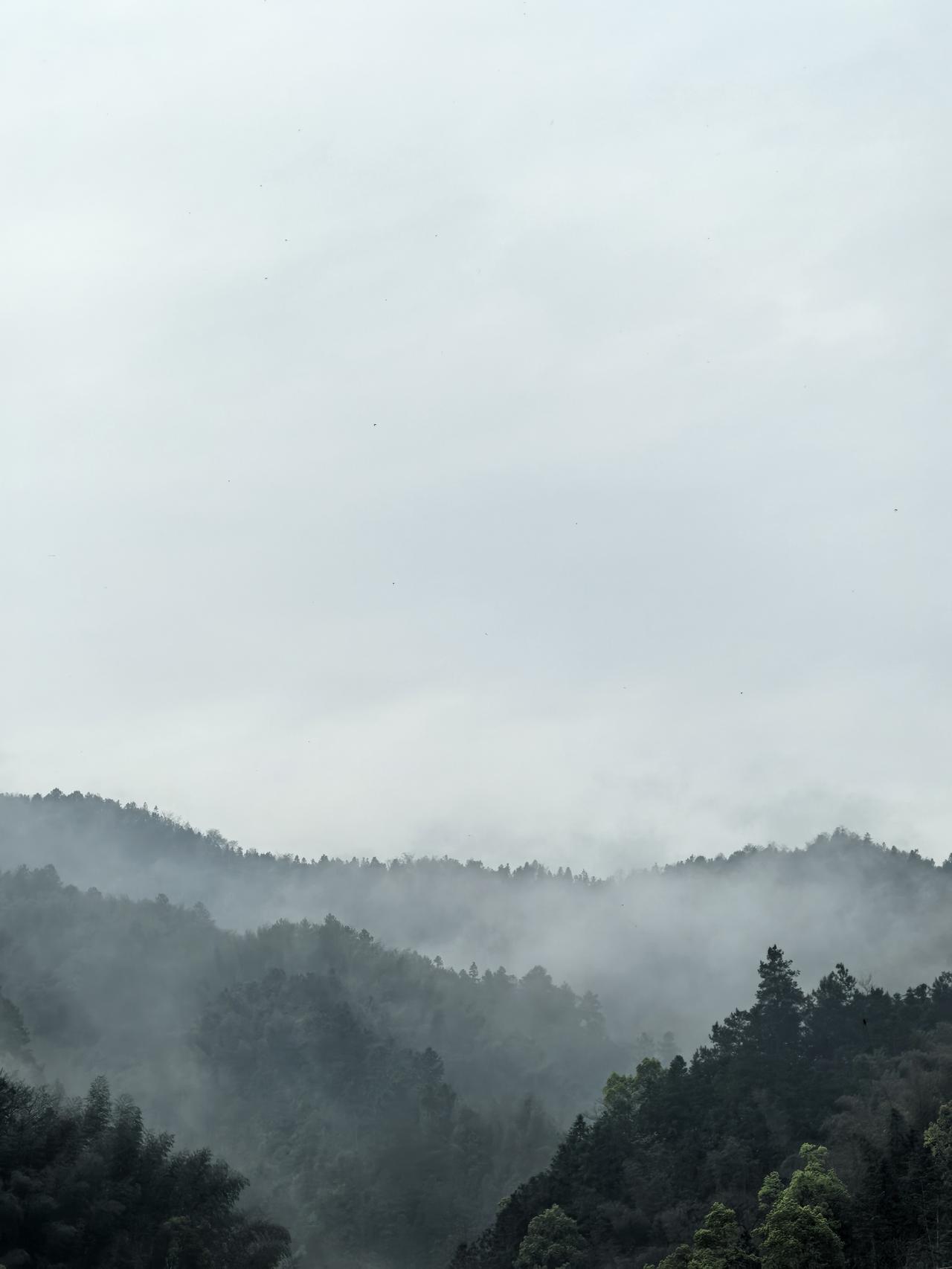 男人到了40，心气就慢慢泄了。别人都说男人四十一枝花，我觉得就是豆腐渣。