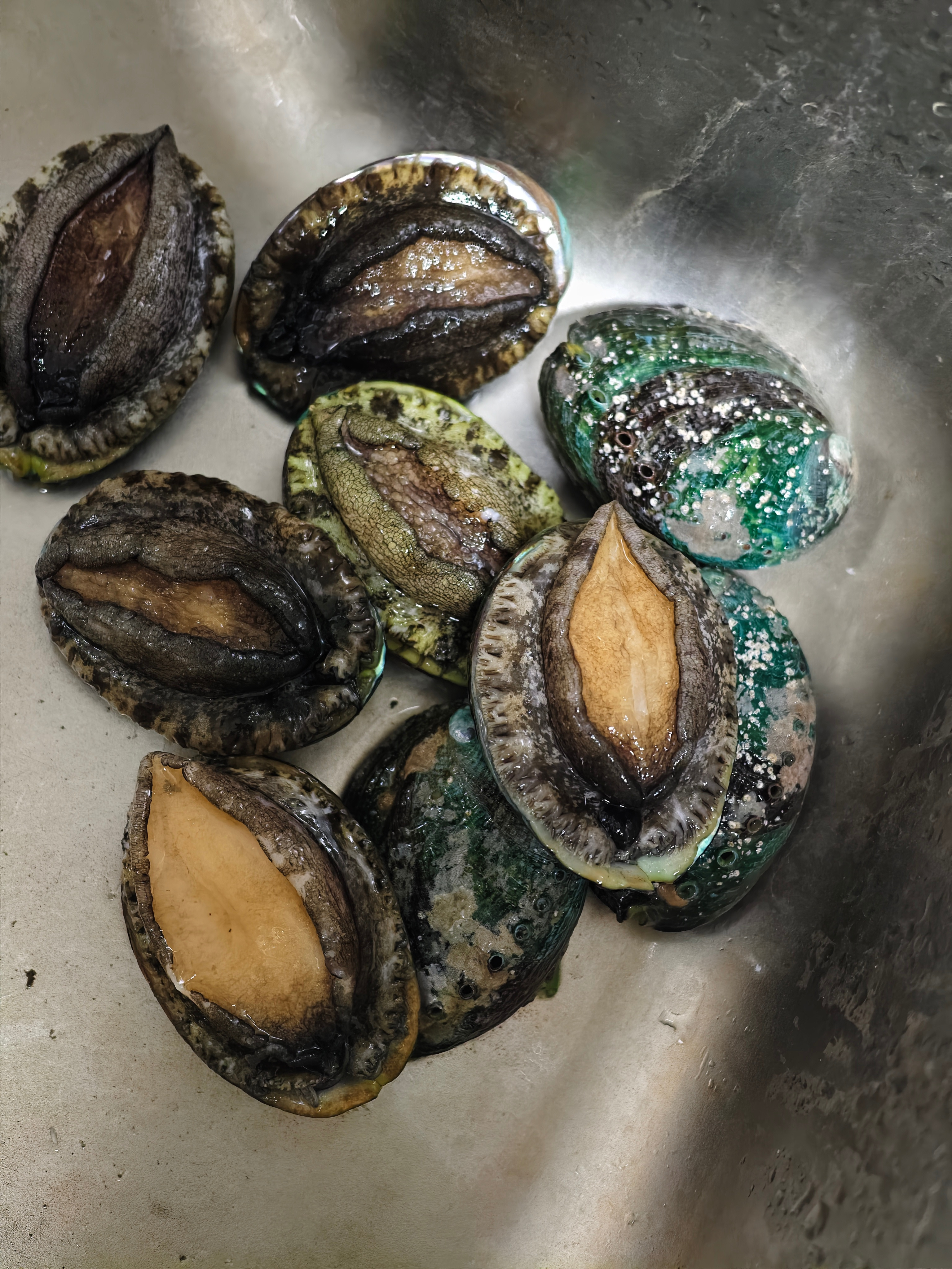 每日一餐分享昨天按照葱烧海参的做法做了一个鲍鱼捞饭。味道的核心是第二张照片里右边
