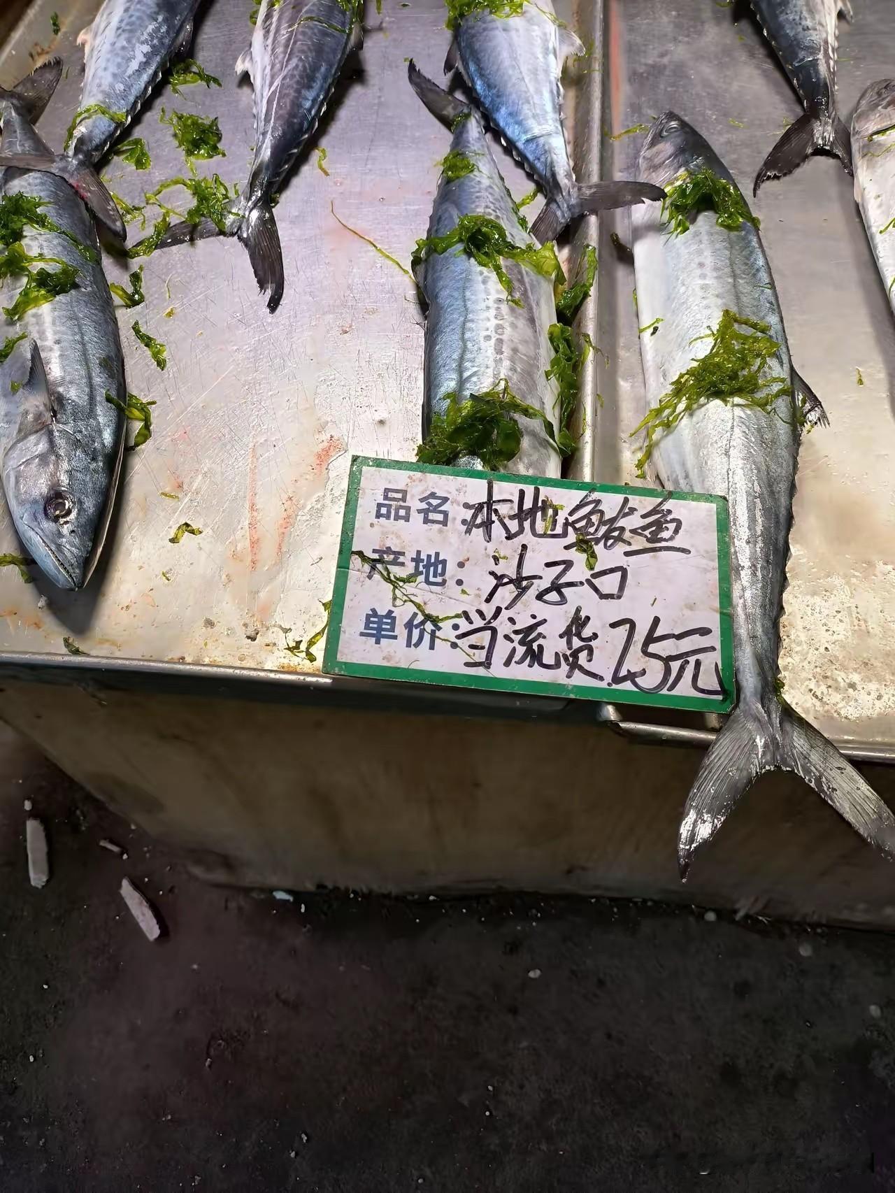 海捕鲅鱼价格倒是不太贵!之前几年吃久了鲅鱼以后，现在是毫无购买欲望。以前特别