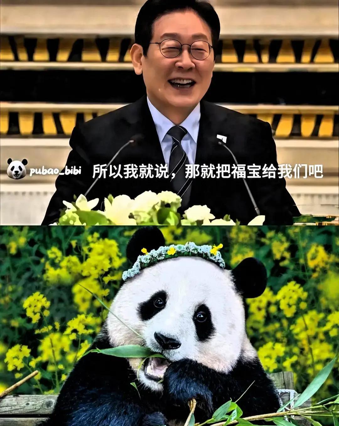 李在明在交流会上突然来一句“要不把福宝借给我们吧”，现场一下子就热了，他自己憋着