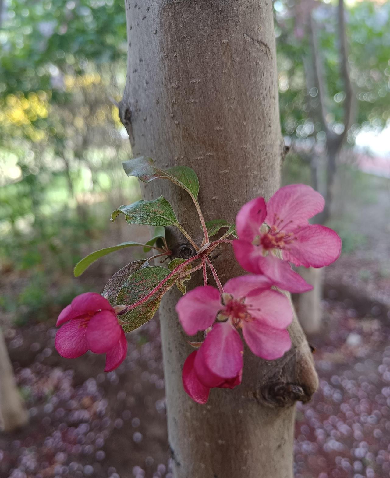 退休了还去打工，就是闲。70年生的我，今年10月刚办完退休手续，在家窝了一个