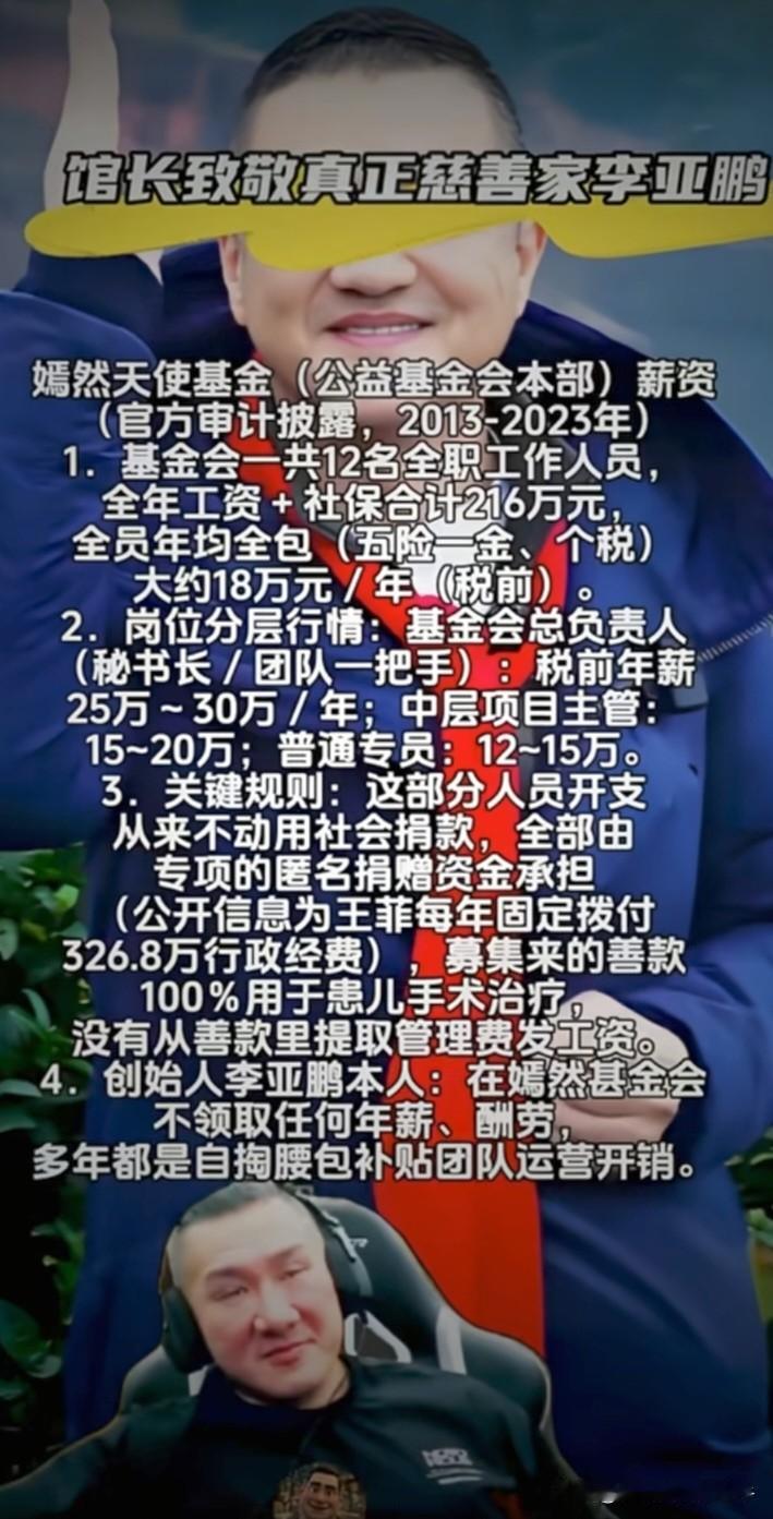 官方审计披露嫣然天使基金2013年至2023年工作人员薪资情况，干净！简单！接地