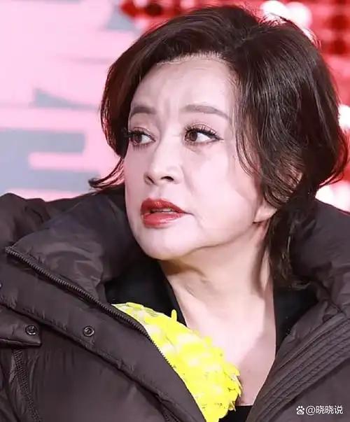 六年相伴一朝反目！刘晓庆遭前助理起诉，索赔504万引全网热议娱乐圈再起纠纷