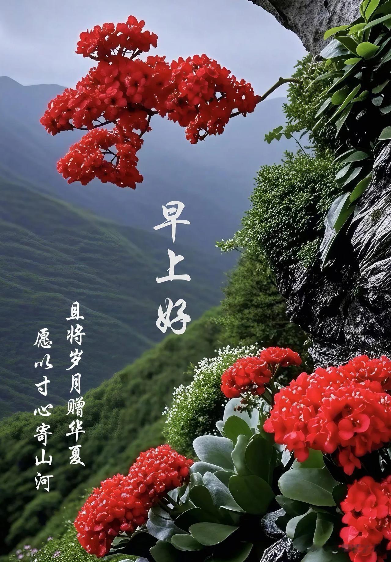 早安，生活虽有风雨，但曙光总会如期而至，守住内心的温柔，一切都会慢慢变好。