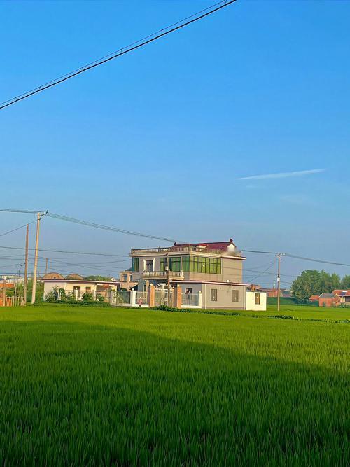 年过完了，该算的账也算完了。这两天跟几个老同学喝酒，聊着聊着就说到一个话题：今年