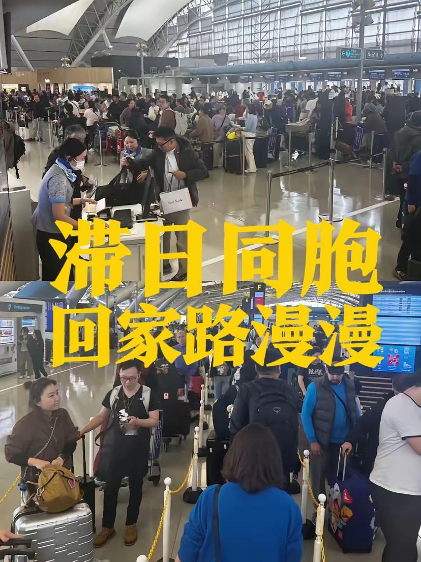 12条日本航线取消，据说几十万人滞留日本。帮那些滞留人士问问：祖国妈妈会派专机