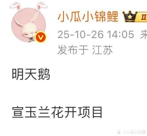 下午忙了一会你们就高潮了？​​​